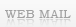 WEB MAIL interno
